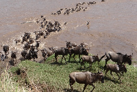 Msimu wa utalii unatarajiwa kuanza hivi karibuni