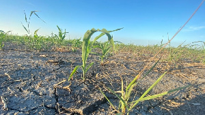 Manitoba Drought