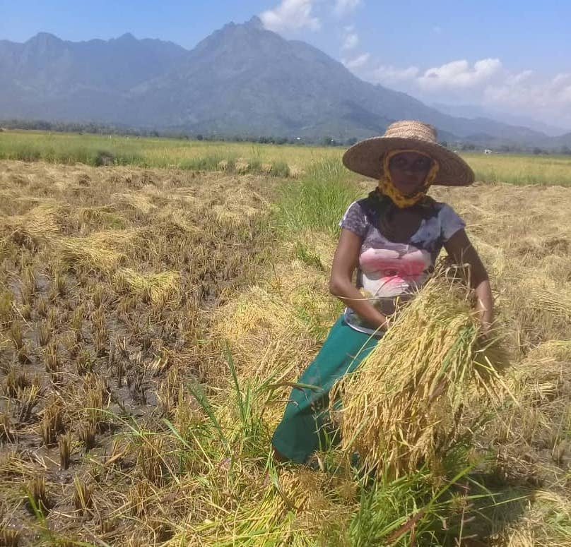 Wakulima wanavyonufaika   mradi wa kilimo cha mpunga