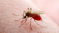 Maambukizi ya malaria yapungua kwa asilimia 8.1