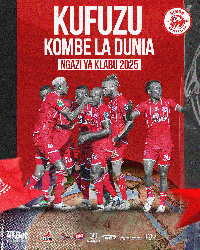 FIFA yaitaja Simba kuwania Kombe la Dunia kwa Vilabu 2025