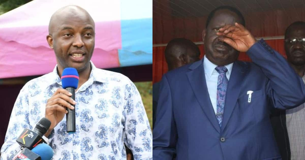 Seneta Kang'ata asema Raila ni mvivu, ameshindwa kutafuta kura Mlima Kenya