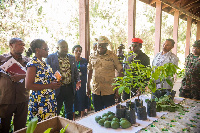 Mavunde akikagua sampuli ya mbegu bora za kisasa