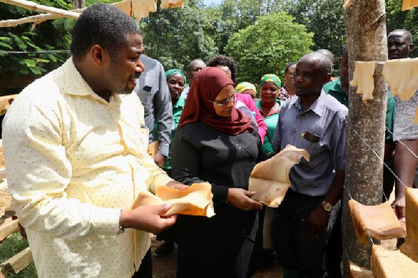 Serikali yasisitiza ulimaji wa zao la mpira