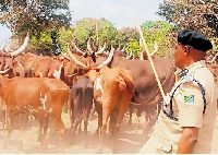 Vijana 4 wauawa tukio la uporaji wa ng’ombe