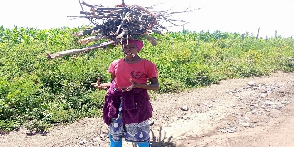 Mradi gesi kinyesi unavyohamisha wananchi kutoka umaskini wa kuni