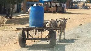 Bomu Lililotegwa Katika Mkokoteni Wa Punda Laua Afisa Wa Polisi Wa Kenya.jpeg