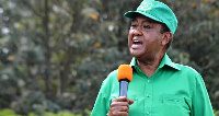 Abdurahman Kinana, Makamu Mwenyekiti CCM