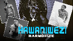 Harmonize – Hawaniwezi (Official Audio)