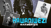 Harmonize – Hawaniwezi (Official Audio)