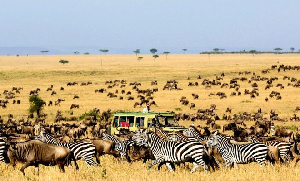 Safaro Tours To Serengeti National Park 1200x675 1 660x400