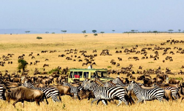 Forbes waitaja Serengeti kama kivutio cha lazima kutembelea 2021