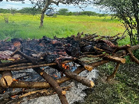 Aua twiga na kuchoma nyama yake