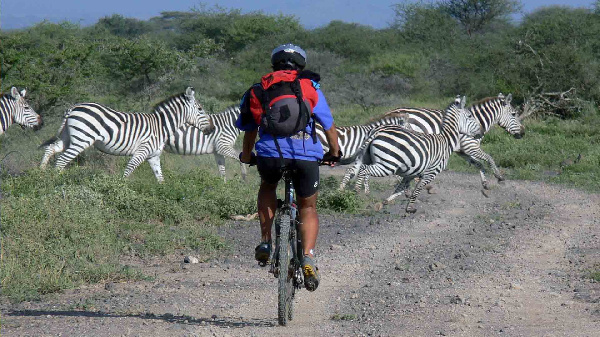 Maputo, farasi na baiskeli zinavyovutia utalii Ngorongoro