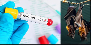 Nipah Virus