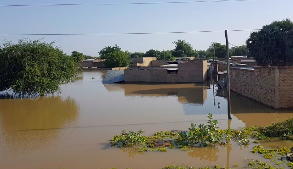 Watu 341 wamefariki kutokana na marufiko nchini Chad