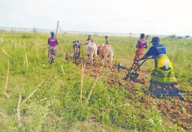 Mtaji wa 400,000/- wakifanyia makubwa kikundi cha kilimo