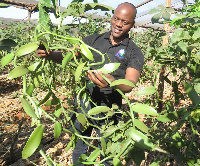 Shamba kubwa la vanilla lazinduliwa kanda ya ziwa