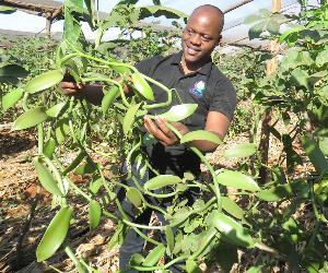 Shamba Kubwa La Vanilla Lazinduliwa Kanda Ya Ziwa