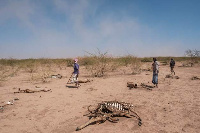 Njaa yaua watu 176 eneo la Tigray, Ethiopia