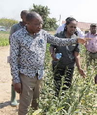 Wakulima wa korosho mikoa ya kusini kuendelea kuneemeka