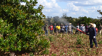 Shamba la mikorosho la Waziri Mkuu lawa darasa tamu