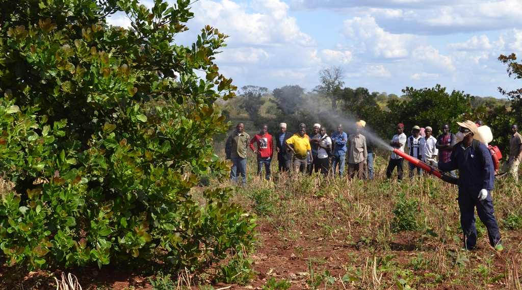 Shamba la mikorosho la Waziri Mkuu lawa darasa tamu