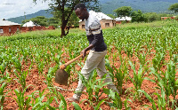 Mradi unafadhiliwa na shirika la chakula duniani, WFP na serikali ya Ireland