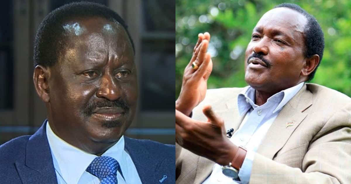 Raila amjibu Kalonzo: 