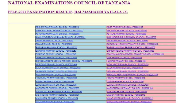 Dar es Salaam yaongoza kimikoa matokeo Darasa la Saba 2021