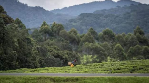 Waasi Rwanda Kuuawa