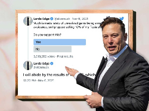 Elon Musk Tesla Shares Twitter 1200x900