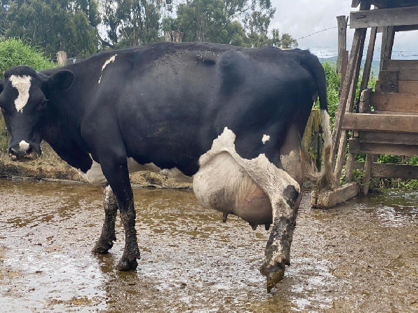 Mbunge Makete alia na  Shamba la Kitulo